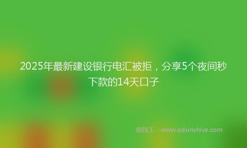 2025年最新建设银行电汇被拒，分享5个夜间秒下款的14天口子
