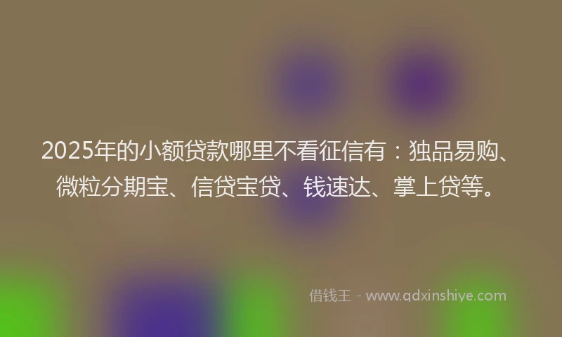 2025年的小额贷款哪里不看征信有：独品易购、微粒分期宝、信贷宝贷、钱速达、掌上贷等。