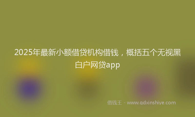 2025年最新小额借贷机构借钱，概括五个无视黑白户网贷app