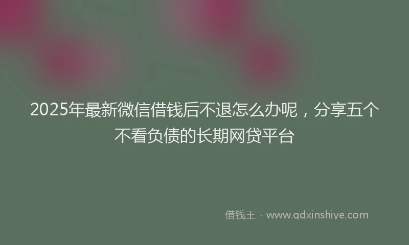 2025年最新微信借钱后不退怎么办呢，分享五个不看负债的长期网贷平台