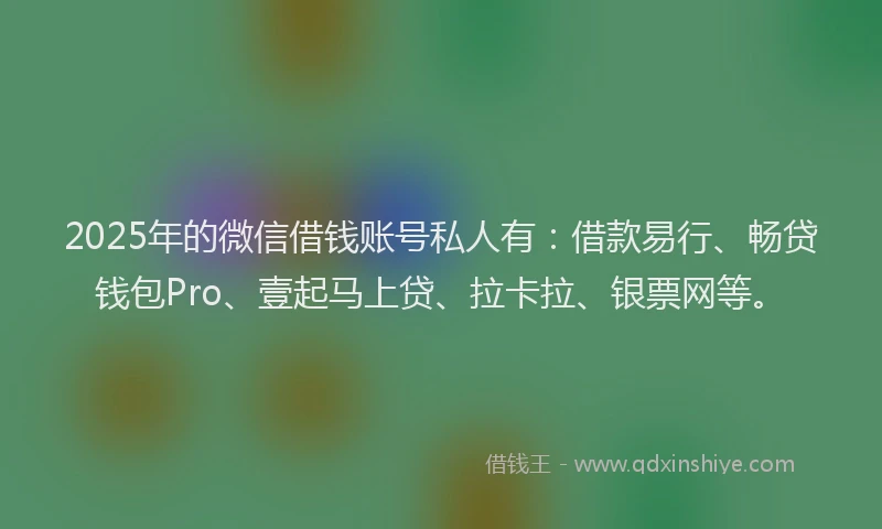 2025年的微信借钱账号私人有：借款易行、畅贷钱包Pro、壹起马上贷、拉卡拉、银票网等。