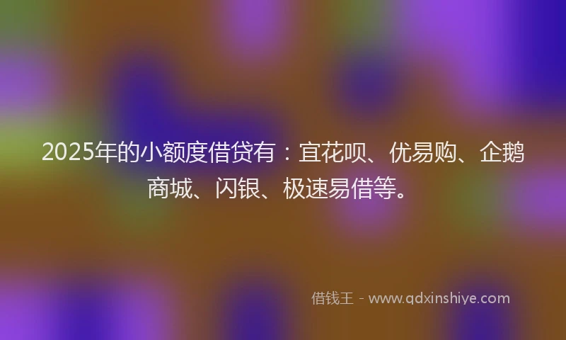 2025年的小额度借贷有：宜花呗、优易购、企鹅商城、闪银、极速易借等。