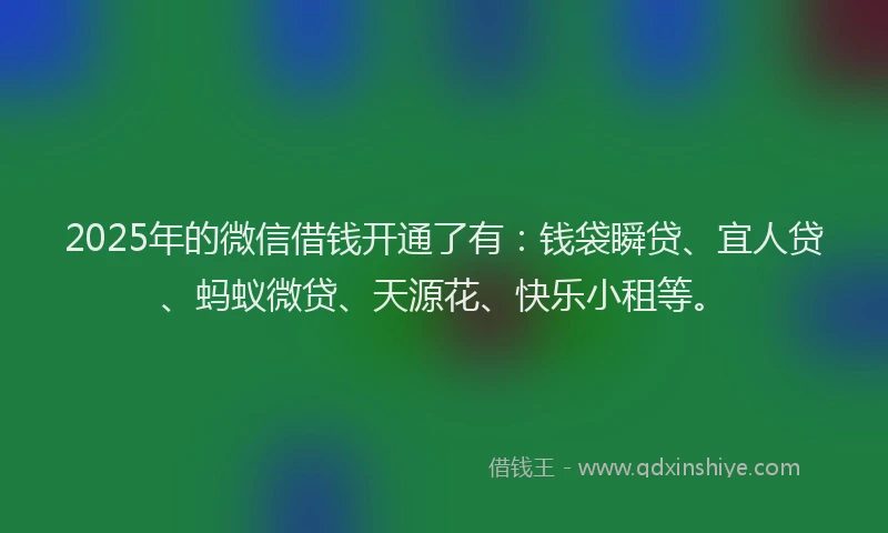2025年的微信借钱开通了有：钱袋瞬贷、宜人贷、蚂蚁微贷、天源花、快乐小租等。