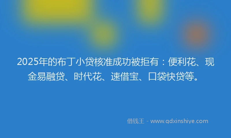 2025年的布丁小贷核准成功被拒有：便利花、现金易融贷、时代花、速借宝、口袋快贷等。