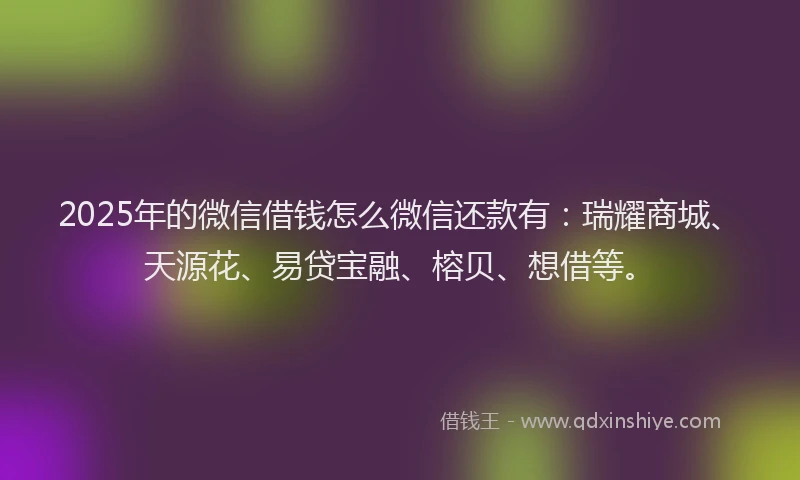 2025年的微信借钱怎么微信还款有：瑞耀商城、天源花、易贷宝融、榕贝、想借等。