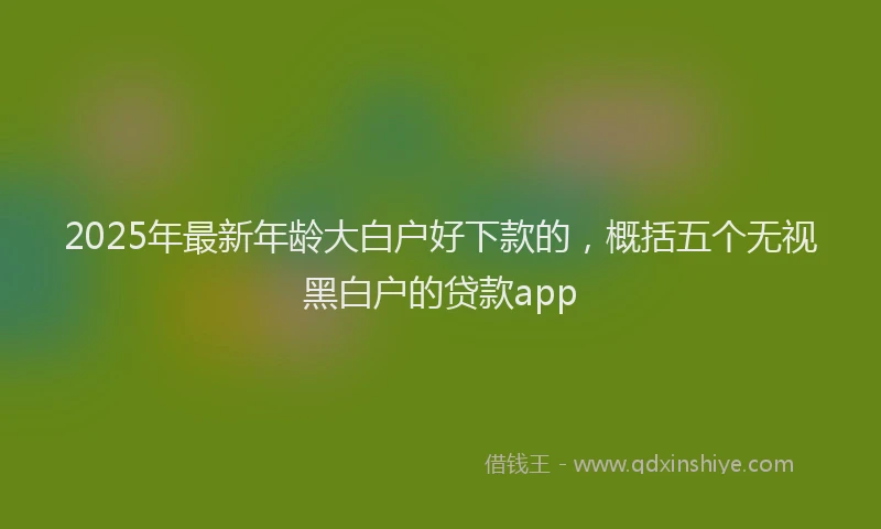 2025年最新年龄大白户好下款的，概括五个无视黑白户的贷款app