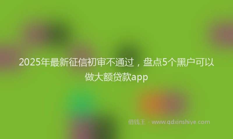 2025年最新征信初审不通过，盘点5个黑户可以做大额贷款app