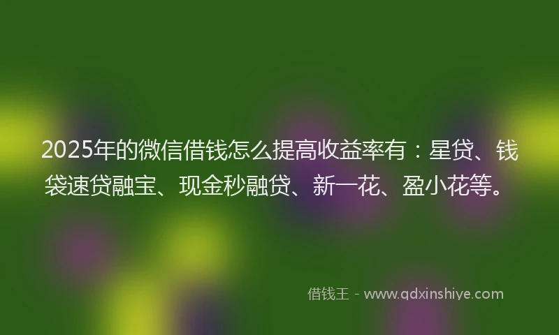 2025年的微信借钱怎么提高收益率有：星贷、钱袋速贷融宝、现金秒融贷、新一花、盈小花等。