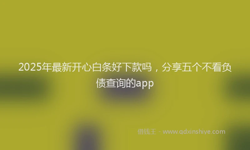 2025年最新开心白条好下款吗，分享五个不看负债查询的app