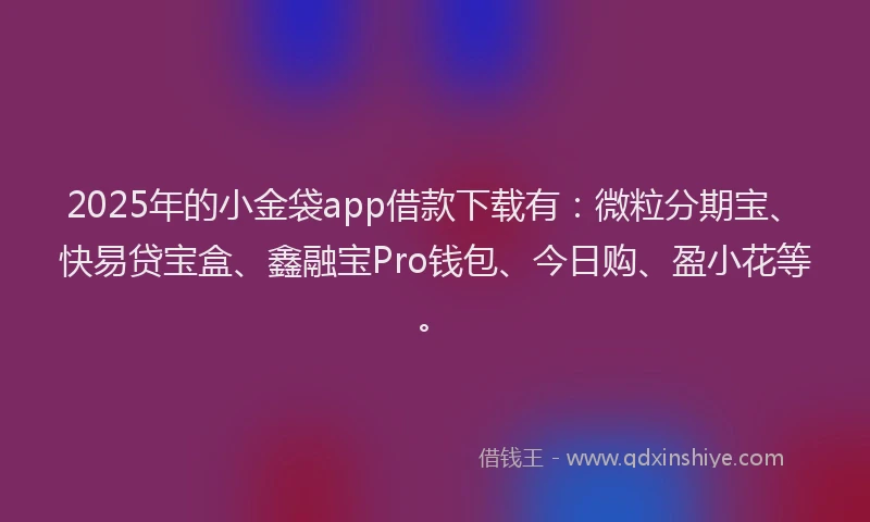 2025年的小金袋app借款下载有：微粒分期宝、快易贷宝盒、鑫融宝Pro钱包、今日购、盈小花等。