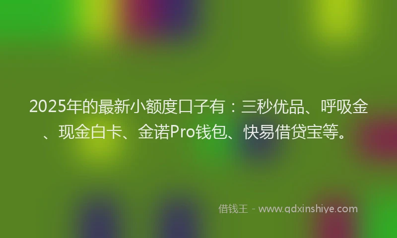 2025年的最新小额度口子有：三秒优品、呼吸金、现金白卡、金诺Pro钱包、快易借贷宝等。