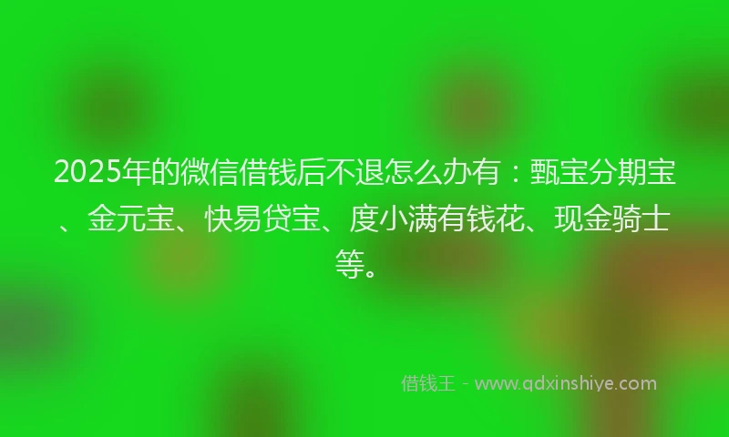 2025年的微信借钱后不退怎么办有：甄宝分期宝、金元宝、快易贷宝、度小满有钱花、现金骑士等。