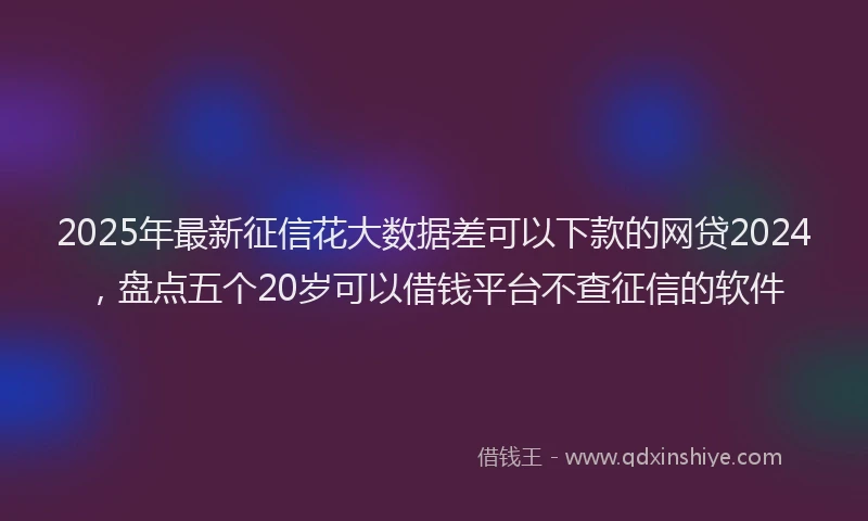 2025年最新征信花大数据差可以下款的网贷2024，盘点五个20岁可以借钱平台不查征信的软件