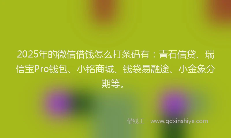 2025年的微信借钱怎么打条码有：青石信贷、瑞信宝Pro钱包、小铭商城、钱袋易融途、小金象分期等。