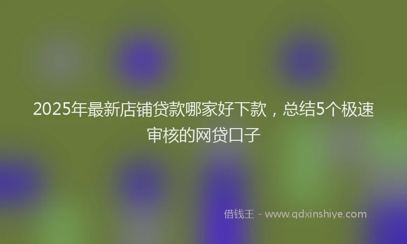 2025年最新店铺贷款哪家好下款，总结5个极速审核的网贷口子