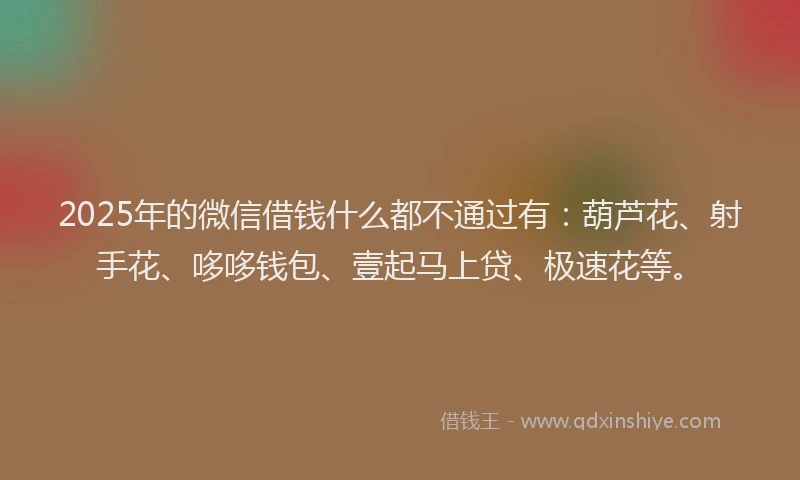 2025年的微信借钱什么都不通过有：葫芦花、射手花、哆哆钱包、壹起马上贷、极速花等。