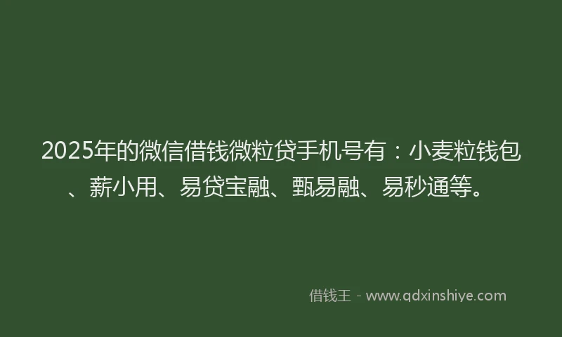 2025年的微信借钱微粒贷手机号有：小麦粒钱包、薪小用、易贷宝融、甄易融、易秒通等。