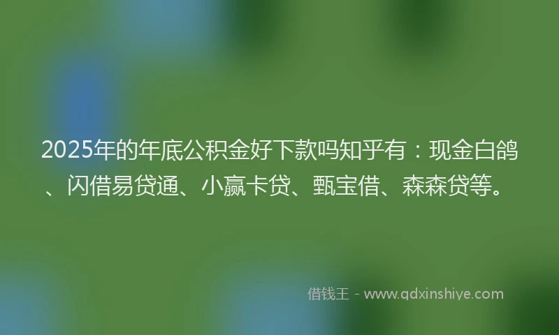 2025年的年底公积金好下款吗知乎有：现金白鸽、闪借易贷通、小赢卡贷、甄宝借、森森贷等。