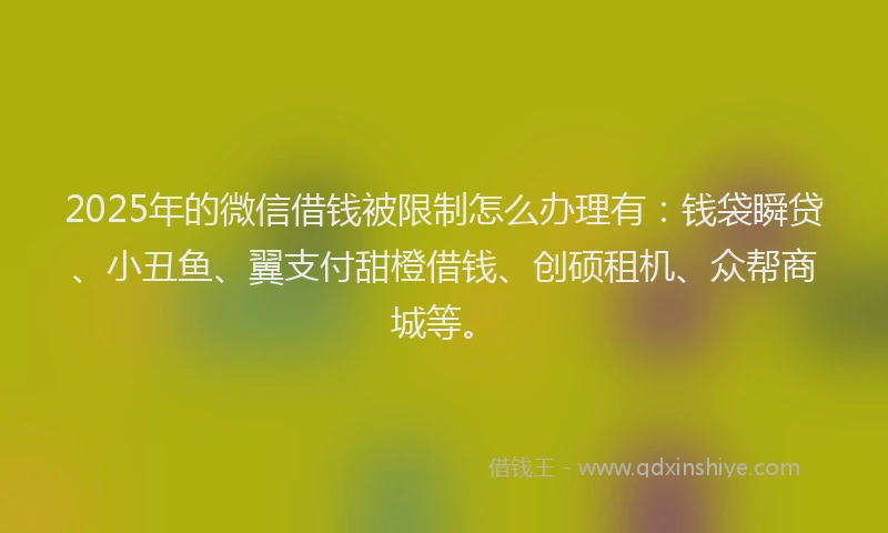 2025年的微信借钱被限制怎么办理有：钱袋瞬贷、小丑鱼、翼支付甜橙借钱、创硕租机、众帮商城等。