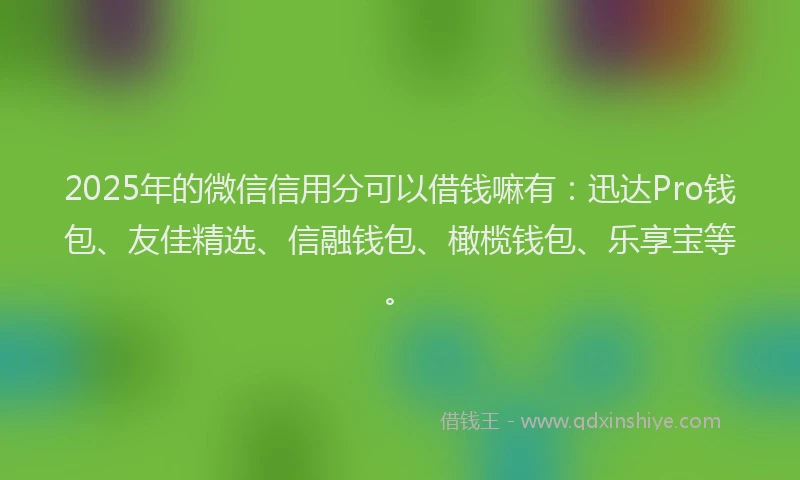 2025年的微信信用分可以借钱嘛有：迅达Pro钱包、友佳精选、信融钱包、橄榄钱包、乐享宝等。