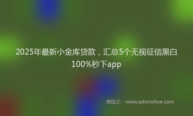 2025年最新小金库贷款，汇总5个无视征信黑白100%秒下app