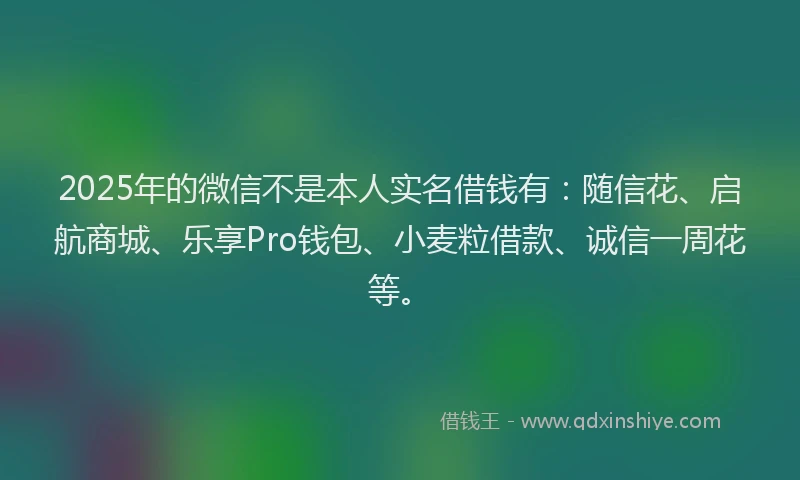 2025年的微信不是本人实名借钱有：随信花、启航商城、乐享Pro钱包、小麦粒借款、诚信一周花等。