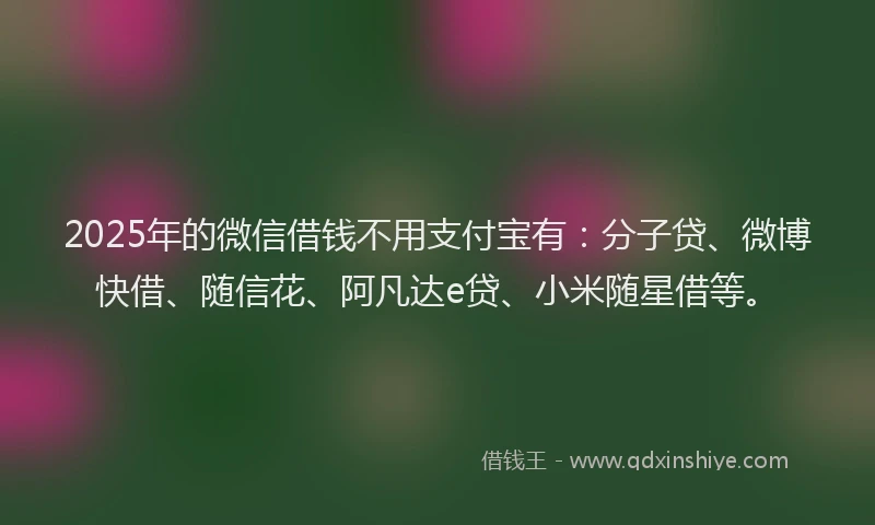 2025年的微信借钱不用支付宝有：分子贷、微博快借、随信花、阿凡达e贷、小米随星借等。
