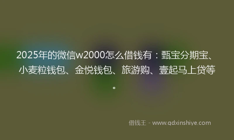 2025年的微信w2000怎么借钱有：甄宝分期宝、小麦粒钱包、金悦钱包、旅游购、壹起马上贷等。