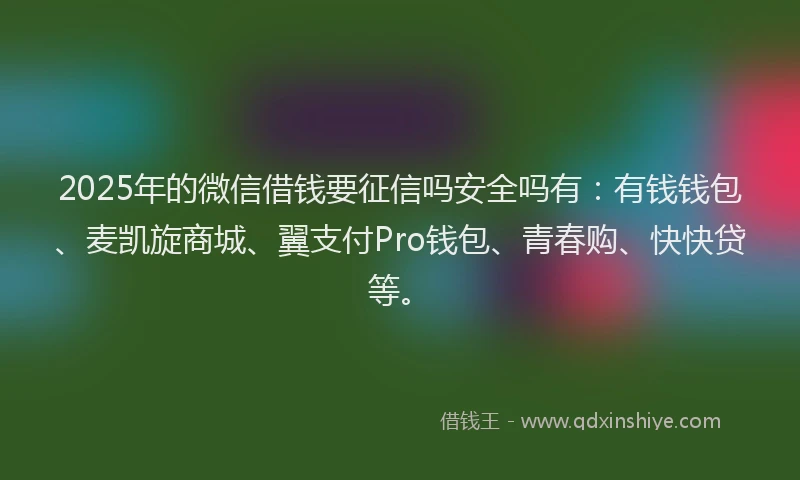 2025年的微信借钱要征信吗安全吗有：有钱钱包、麦凯旋商城、翼支付Pro钱包、青春购、快快贷等。