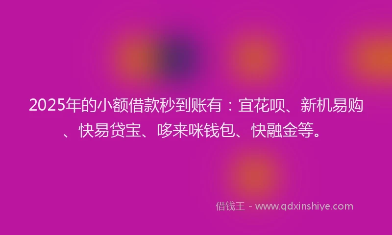 2025年的小额借款秒到账有：宜花呗、新机易购、快易贷宝、哆来咪钱包、快融金等。