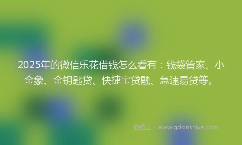 2025年的微信乐花借钱怎么看有：钱袋管家、小金象、金钥匙贷、快捷宝贷融、急速易贷等。