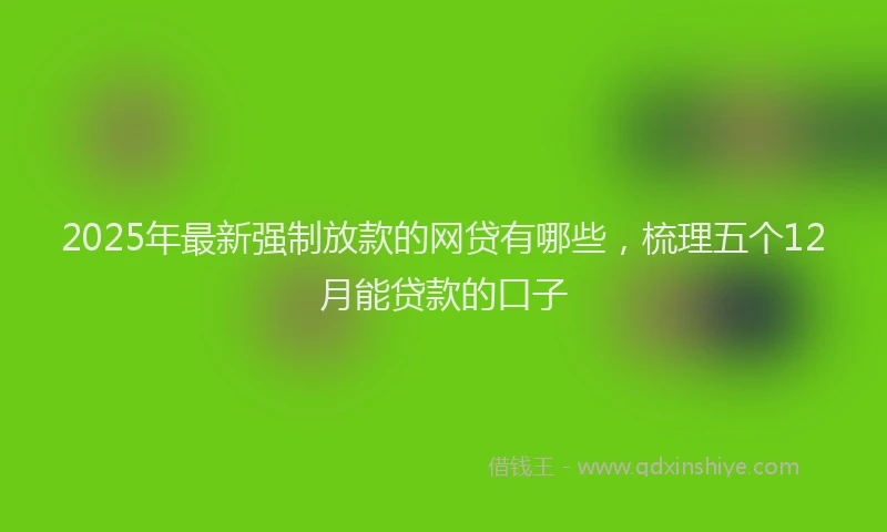 2025年最新强制放款的网贷有哪些，梳理五个12月能贷款的口子