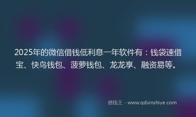 2025年的微信借钱低利息一年软件有：钱袋速借宝、快鸟钱包、菠萝钱包、龙龙享、融资易等。