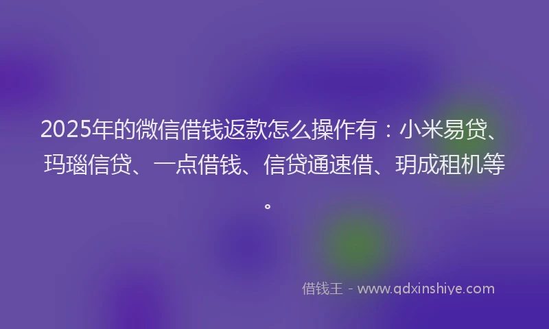 2025年的微信借钱返款怎么操作有：小米易贷、玛瑙信贷、一点借钱、信贷通速借、玥成租机等。