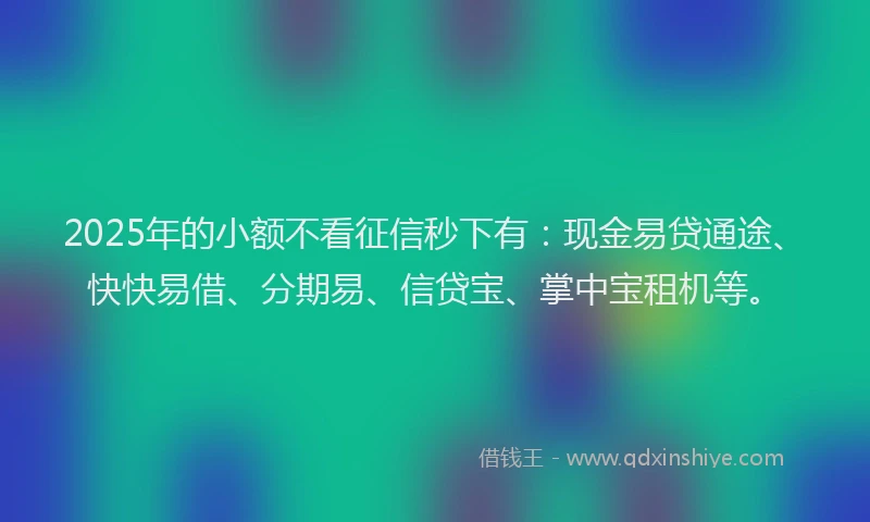 2025年的小额不看征信秒下有：现金易贷通途、快快易借、分期易、信贷宝、掌中宝租机等。