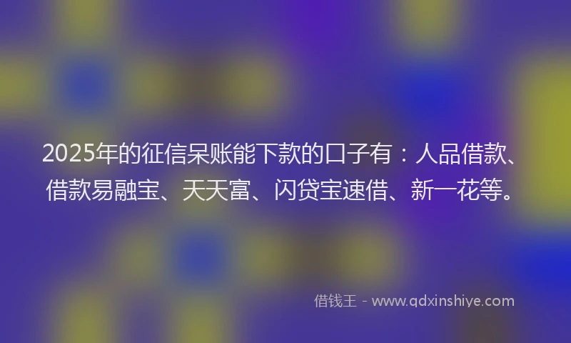 2025年的征信呆账能下款的口子有：人品借款、借款易融宝、天天富、闪贷宝速借、新一花等。