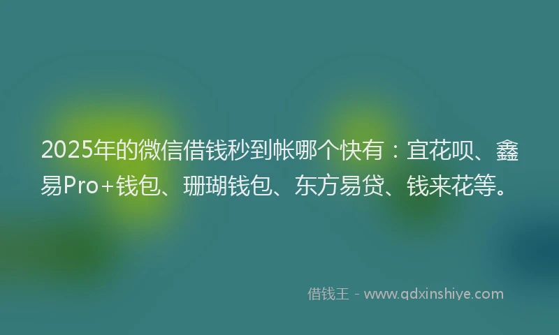 2025年的微信借钱秒到帐哪个快有：宜花呗、鑫易Pro+钱包、珊瑚钱包、东方易贷、钱来花等。