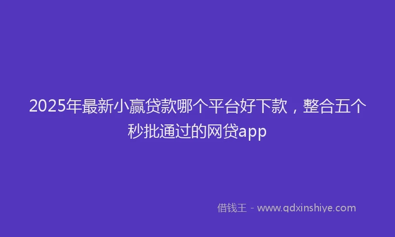 2025年最新小赢贷款哪个平台好下款，整合五个秒批通过的网贷app