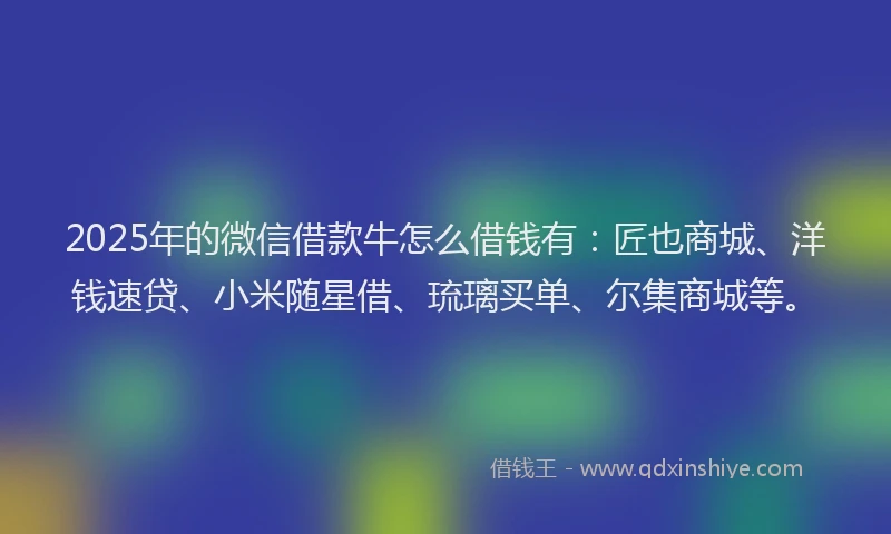 2025年的微信借款牛怎么借钱有：匠也商城、洋钱速贷、小米随星借、琉璃买单、尔集商城等。