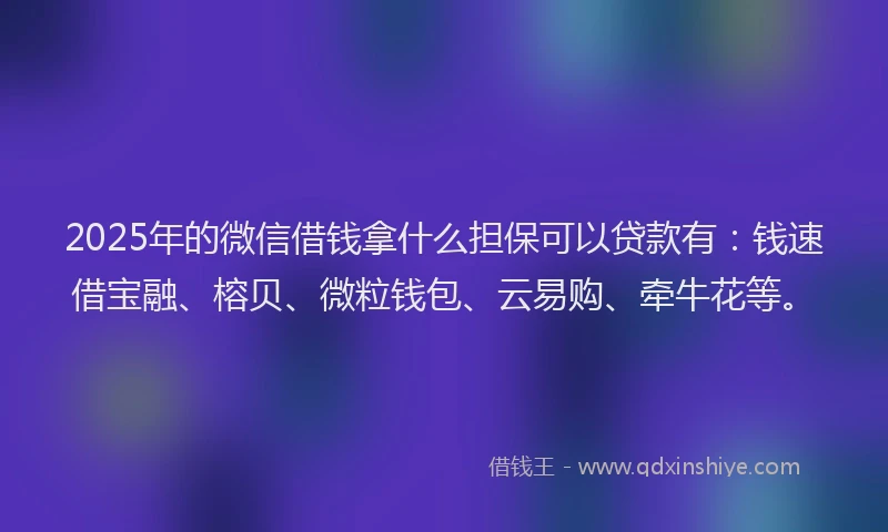 2025年的微信借钱拿什么担保可以贷款有：钱速借宝融、榕贝、微粒钱包、云易购、牵牛花等。