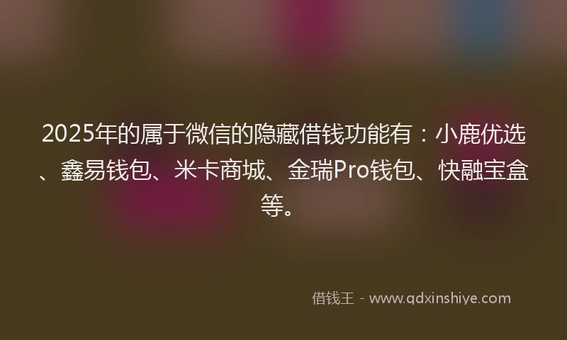 2025年的属于微信的隐藏借钱功能有：小鹿优选、鑫易钱包、米卡商城、金瑞Pro钱包、快融宝盒等。