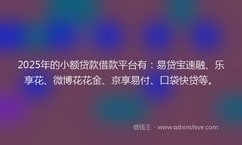 2025年的小额贷款借款平台有：易贷宝速融、乐享花、微博花花金、京享易付、口袋快贷等。