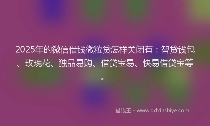 2025年的微信借钱微粒贷怎样关闭有：智贷钱包、玫瑰花、独品易购、借贷宝易、快易借贷宝等。