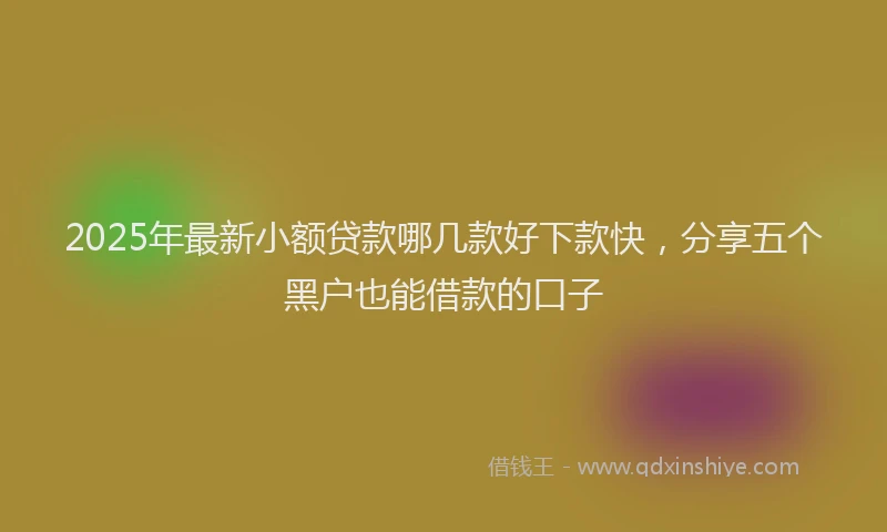 2025年最新小额贷款哪几款好下款快，分享五个黑户也能借款的口子