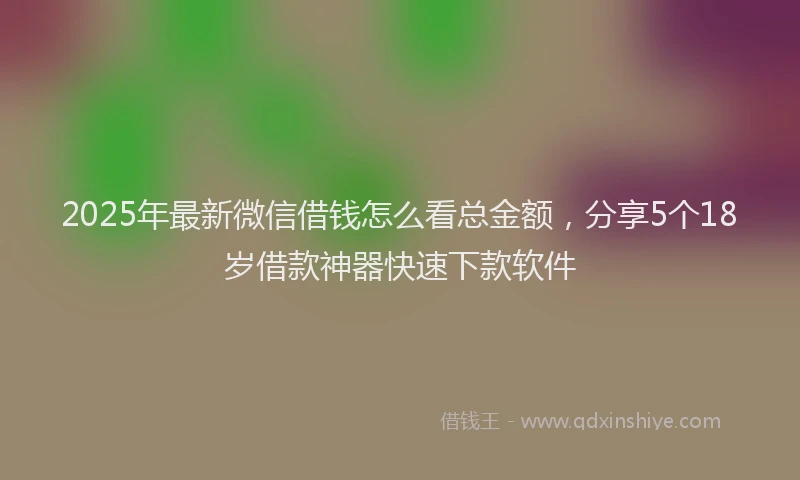 2025年最新微信借钱怎么看总金额，分享5个18岁借款神器快速下款软件