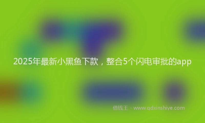 2025年最新小黑鱼下款，整合5个闪电审批的app