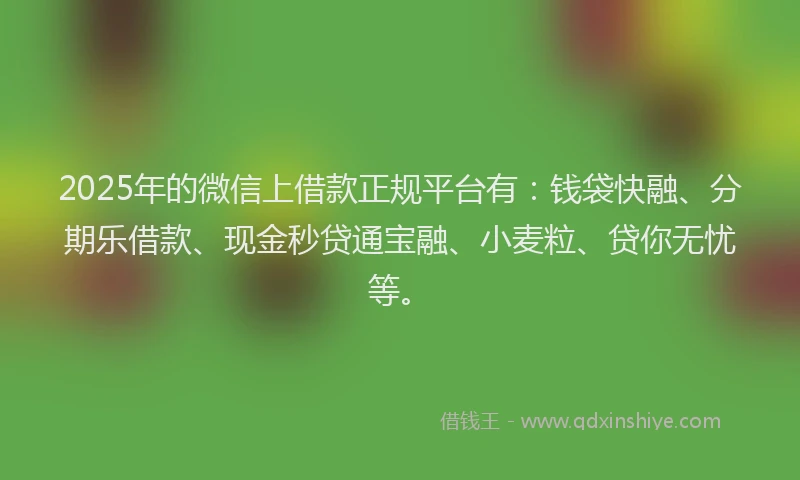 2025年的微信上借款正规平台有：钱袋快融、分期乐借款、现金秒贷通宝融、小麦粒、贷你无忧等。