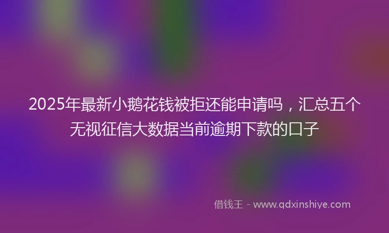 2025年最新小鹅花钱被拒还能申请吗，汇总五个无视征信大数据当前逾期下款的口子