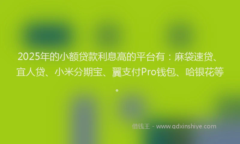 2025年的小额贷款利息高的平台有：麻袋速贷、宜人贷、小米分期宝、翼支付Pro钱包、哈银花等。