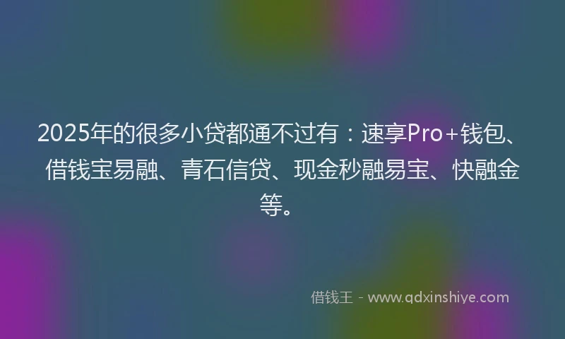 2025年的很多小贷都通不过有：速享Pro+钱包、借钱宝易融、青石信贷、现金秒融易宝、快融金等。